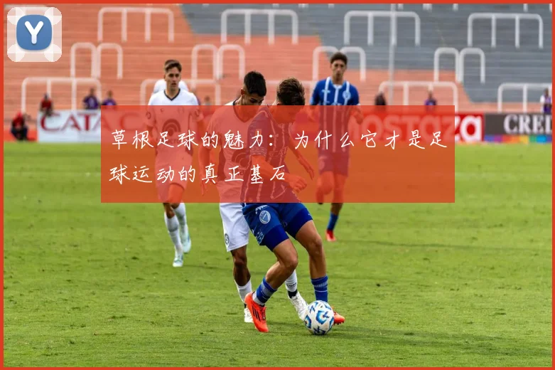 草根足球的魅力：为什么它才是足球运动的真正基石