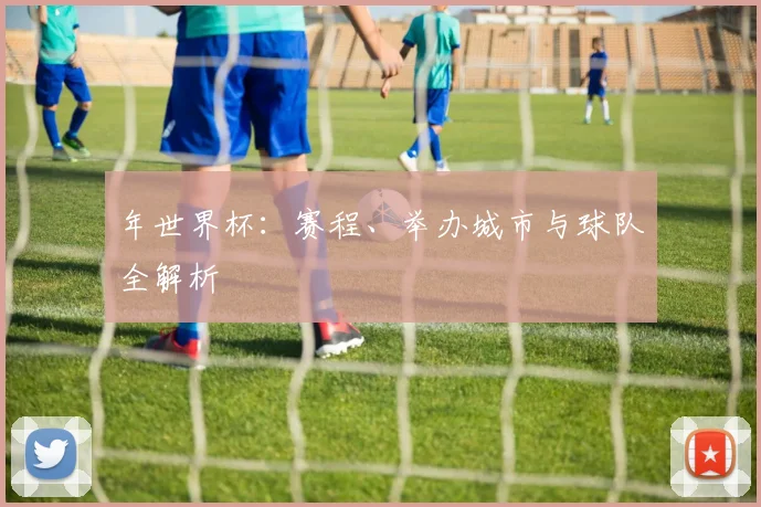 年世界杯：赛程、举办城市与球队全解析